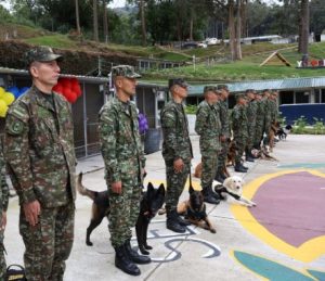 WhatsApp Image 2025-11-12 at 11.05.57 AM